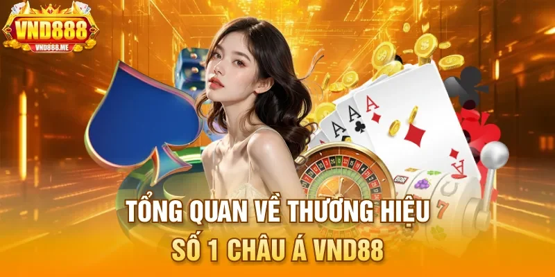 Tổng quan về thương hiệu số 1 châu Á VND88